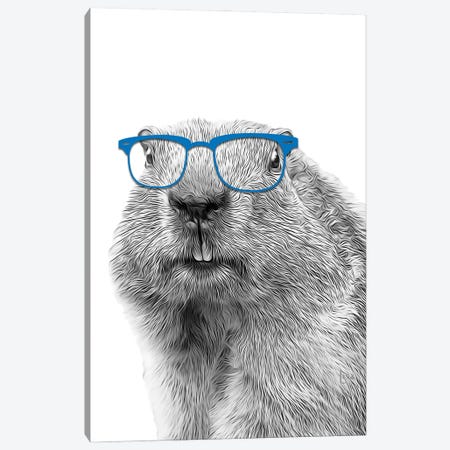 Groundhog With Blue Glasses Canvas Print #LIP358} by Printable Lisa's Pets Canvas Wall Art