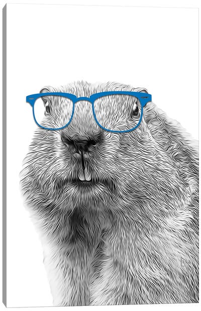 Groundhog With Blue Glasses Canvas Art Print