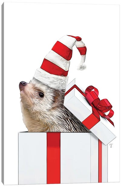 Colored Hedgehog With Christmas Hat, Christmas Gift Card Canvas Art Print - Hedgehogs