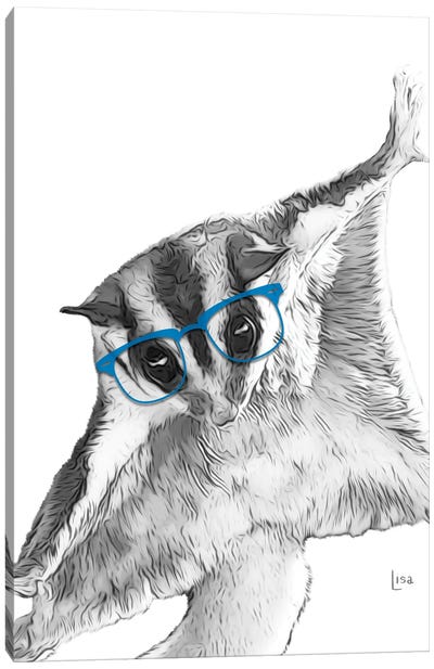 Sugarglider With Blue Glasses Canvas Art Print