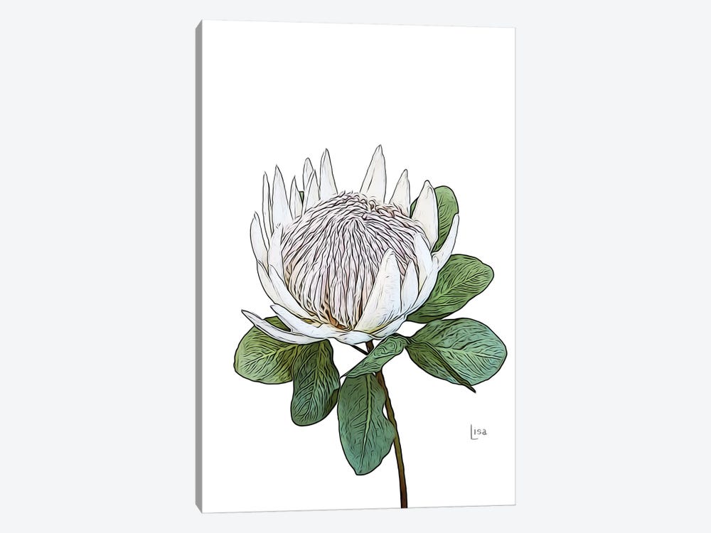 Protea White by Printable Lisa's Pets 1-piece Canvas Wall Art
