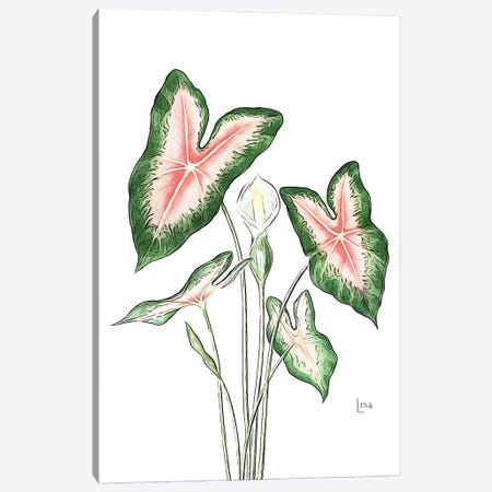 Caladium Pink Canvas Print #LIP488} by Printable Lisa's Pets Canvas Artwork