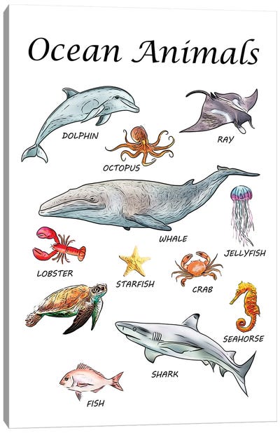 Ocean Animals, Classroom Canvas Art Print - Ray & Stingray Art