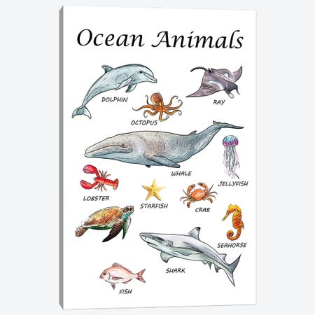 Ocean Animals, Classroom Canvas Print #LIP535} by Printable Lisa's Pets Canvas Art Print