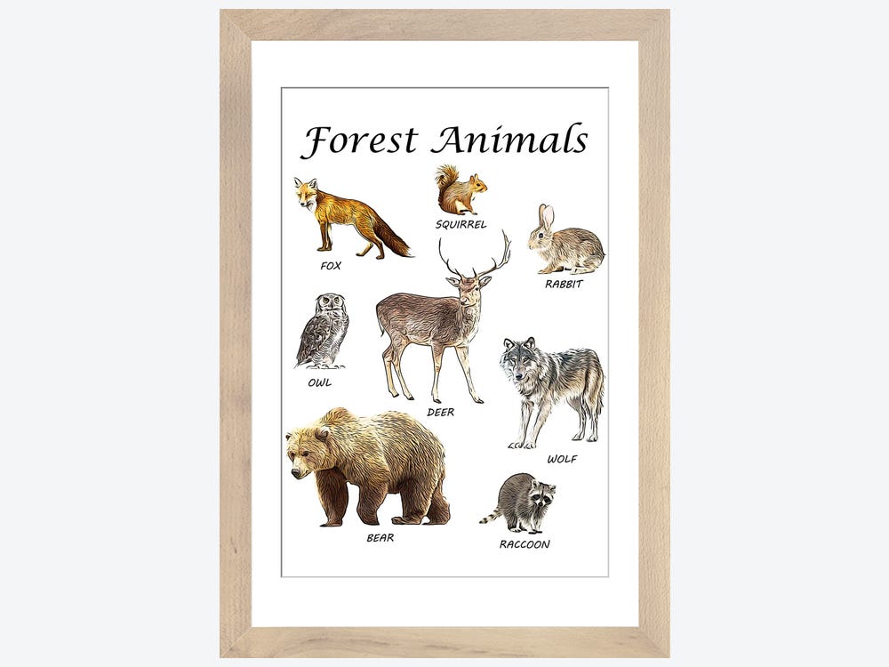 Framed Animals Canvas Print Poster Grove Mountain Woodland - Temu