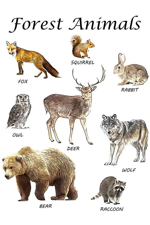 Forest Animals, Classroom Ca - Canvas Wall Art | Printable Lisa's Pets