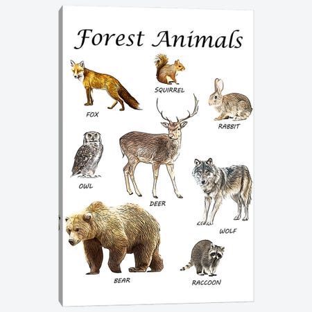 Forest Animals, Classroom Canvas Print #LIP536} by Printable Lisa's Pets Canvas Print
