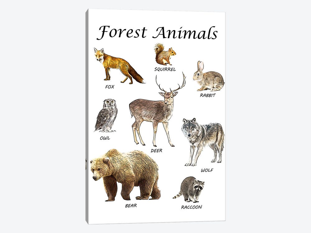 Forest Animals, Classroom by Printable Lisa's Pets 1-piece Canvas Artwork