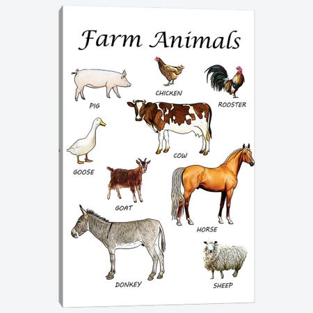 Farm Animals, Classroom Canvas Print #LIP537} by Printable Lisa's Pets Canvas Print