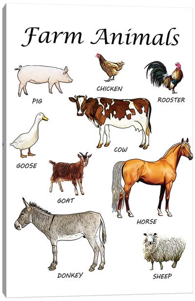 Farm Animals, Classroom Canvas Art Print - Donkey Art