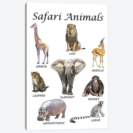 Safari Animals, Classroom Canvas Print #LIP538} by Printable Lisa's Pets Canvas Wall Art