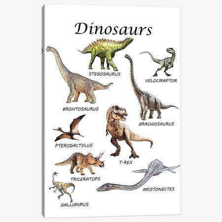 Dinosaurs, Classroom Canvas Print #LIP539} by Printable Lisa's Pets Canvas Art
