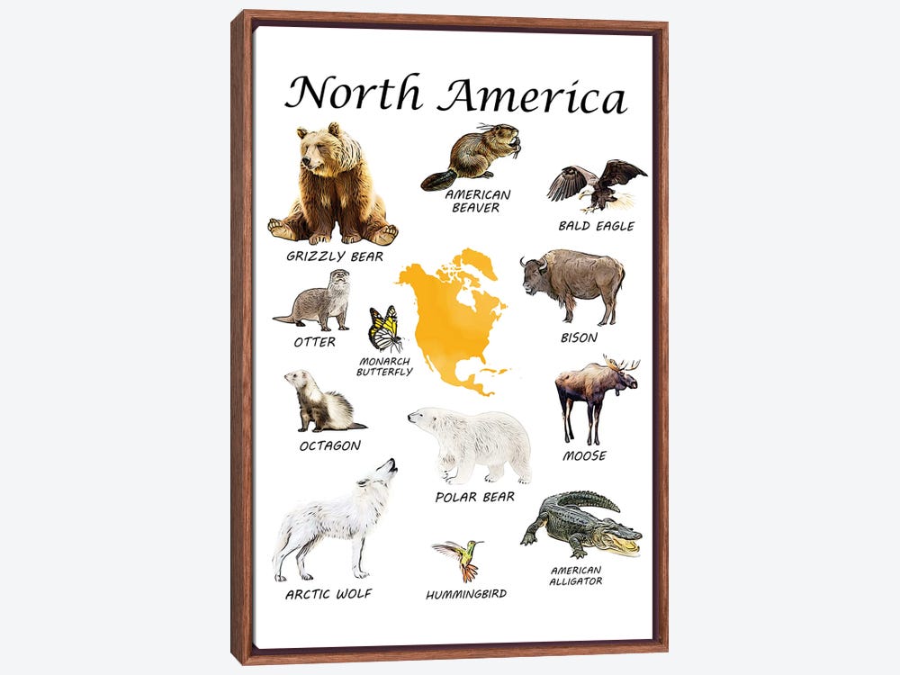 North American Wildlife Poster, wildlife 