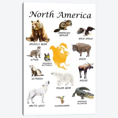 North America Animals, Classroom Canvas Print #LIP544} by Printable Lisa's Pets Canvas Art