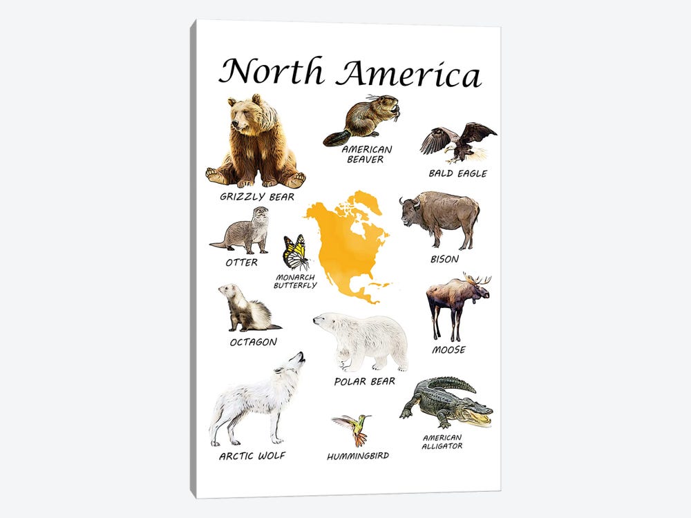 North America Animals, Classroom by Printable Lisa's Pets 1-piece Canvas Art Print