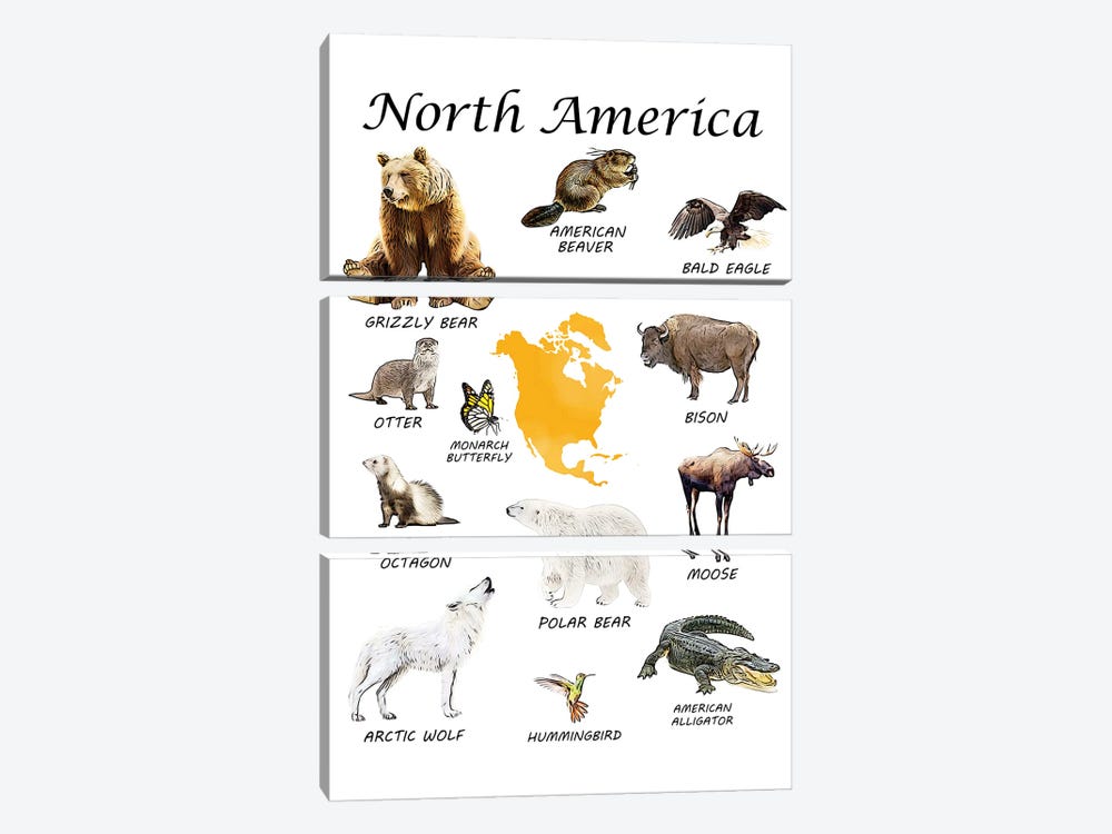 North America Animals, Classroom by Printable Lisa's Pets 3-piece Canvas Art Print
