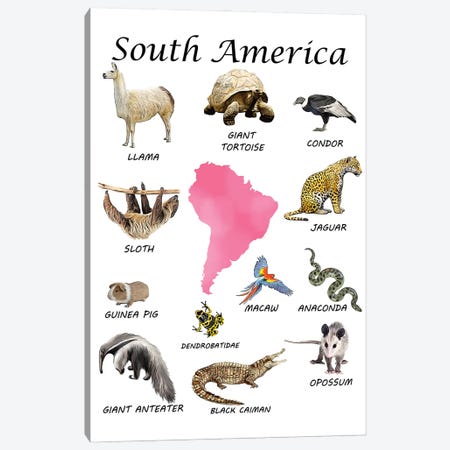 South America Animals, Classroom Canvas Print #LIP545} by Printable Lisa's Pets Canvas Artwork