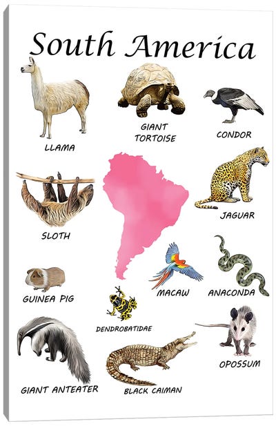 South America Animals, Classroom Canvas Art Print