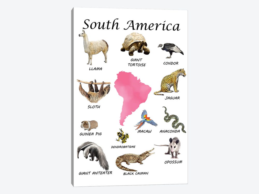 South America Animals, Classroom by Printable Lisa's Pets 1-piece Canvas Art