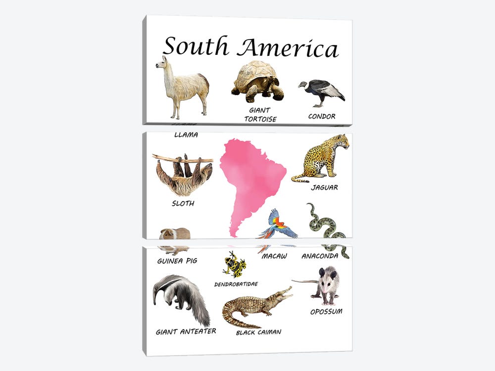 South America Animals, Classroom by Printable Lisa's Pets 3-piece Canvas Artwork
