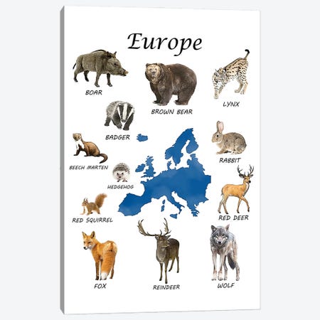 Europe Animals, Classroom Canvas Print #LIP546} by Printable Lisa's Pets Canvas Wall Art