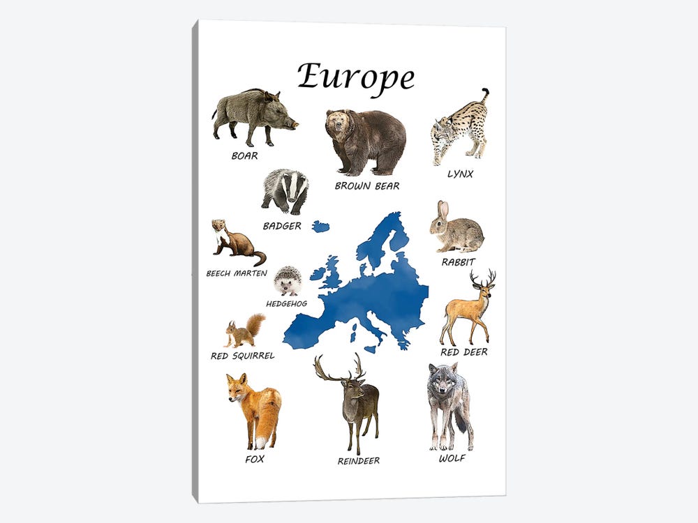 Europe Animals, Classroom by Printable Lisa's Pets 1-piece Art Print