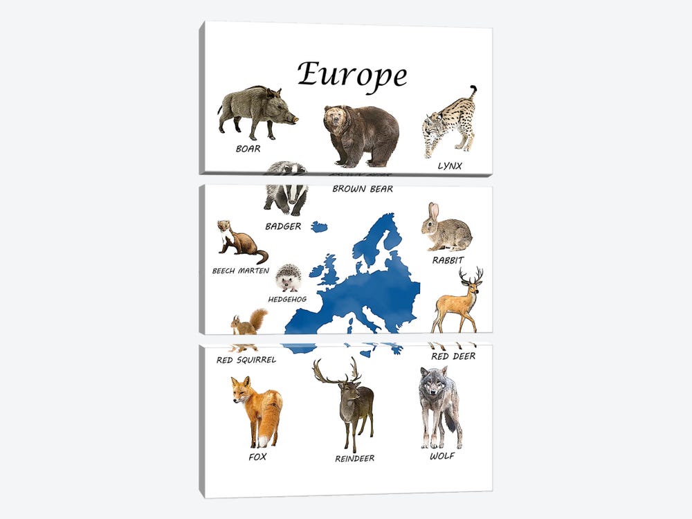 Europe Animals, Classroom by Printable Lisa's Pets 3-piece Canvas Art Print