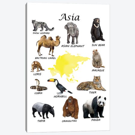 Asia Animals, Classroom Canvas Print #LIP547} by Printable Lisa's Pets Canvas Art