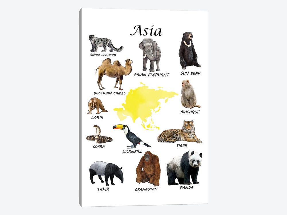 Asia Animals, Classroom by Printable Lisa's Pets 1-piece Canvas Wall Art