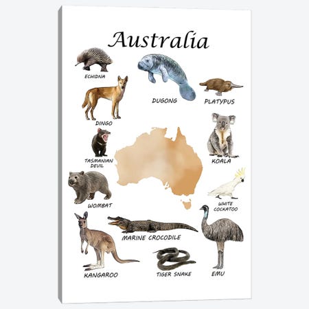Australia Animals, Classroom Canvas Print #LIP548} by Printable Lisa's Pets Canvas Print
