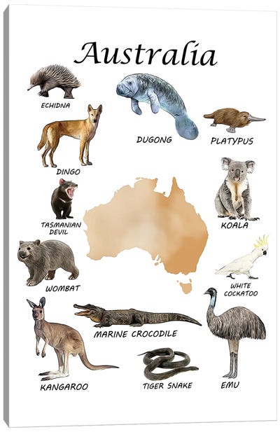 Australia Animals, Classroom Canvas Art Print - Crocodile & Alligator Art