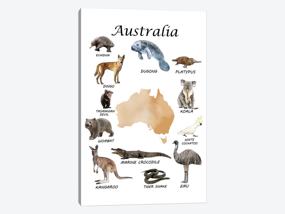 Australia Animals, Classroom by Printable Lisa's Pets 1-piece Canvas Print