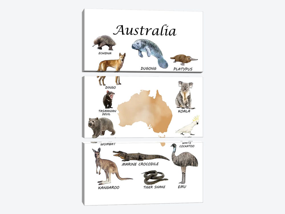 Australia Animals, Classroom by Printable Lisa's Pets 3-piece Canvas Art Print