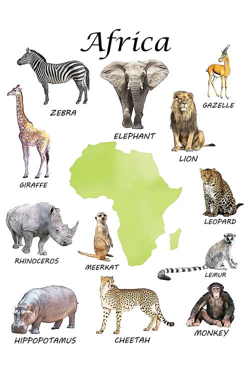 african animals pictures