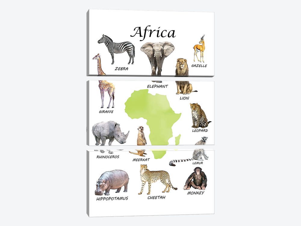 Africa Animals, Classroom by Printable Lisa's Pets 3-piece Canvas Wall Art