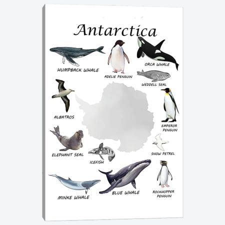 Antarctica Animals, Classroom Canvas Print #LIP550} by Printable Lisa's Pets Canvas Art