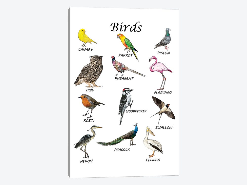 Birds, Classroom by Printable Lisa's Pets 1-piece Canvas Wall Art