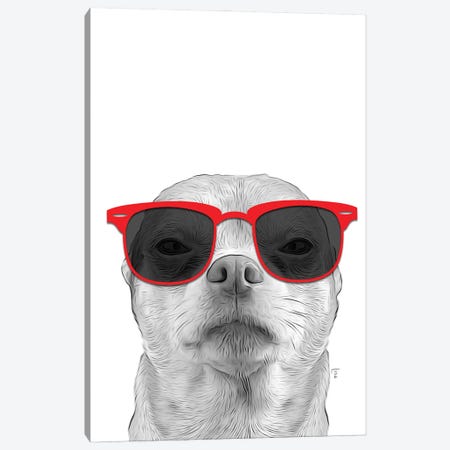 Chihuahua With Red Sunglasses Canvas Print #LIP558} by Printable Lisa's Pets Canvas Wall Art
