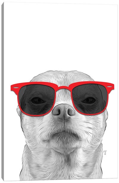 Chihuahua With Red Sunglasses Canvas Art Print - Chihuahua Art