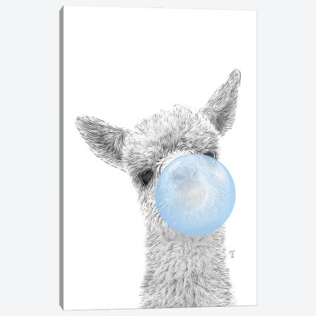 Llama, Alpaca With Blue Bubble Gum Canvas Print #LIP614} by Printable Lisa's Pets Canvas Art