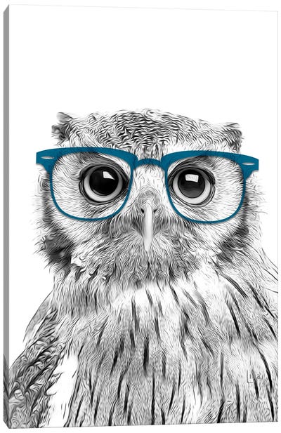 Owl With Blue Glasses Canvas Art Print - Kids Animal Art