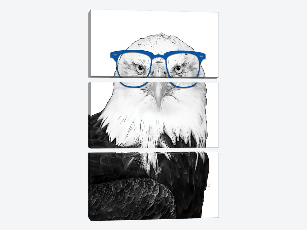 Eagle With Blue Glasses by Printable Lisa's Pets 3-piece Canvas Print