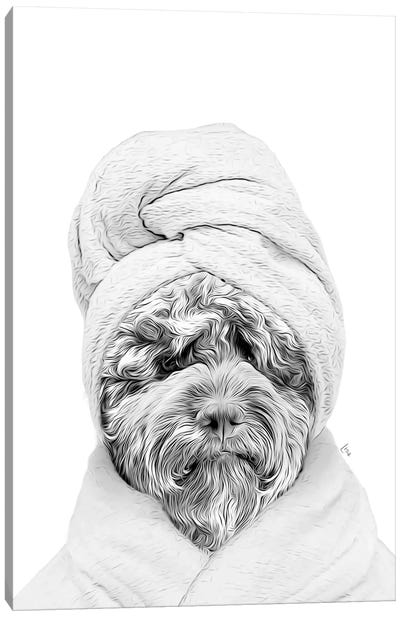 Labradoodle Dog With Bathrobe And Towel Black And White Bathroom Decoration Canvas Art Print - Labradoodle Art