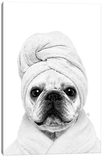 French Bulldog Dog With Bathrobe And Towel Black And White Bathroom Decoration Canvas Art Print - Black & White Animal Art