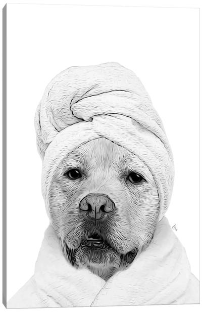Labrador Dog With Bathrobe And Towel Black And White Bathroom Decoration Canvas Art Print - Labrador Retriever Art