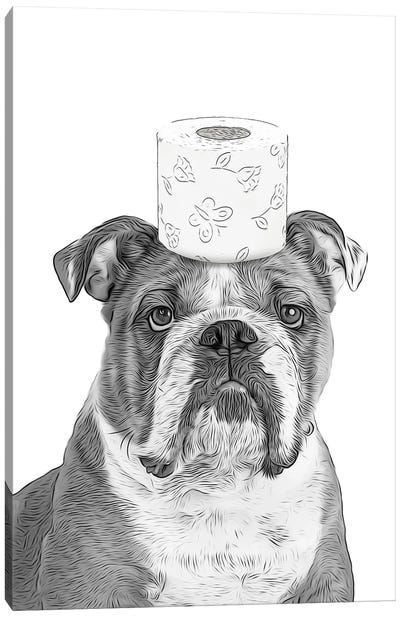 English Bulldog With Toilet Paper On The Head Canvas Art Print - Bulldog Art