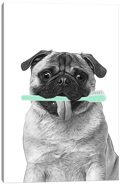Pug With Toothbrush Canvas Art Print - Pug Art