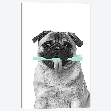 Pug With Toothbrush Canvas Print #LIP721} by Printable Lisa's Pets Canvas Art Print