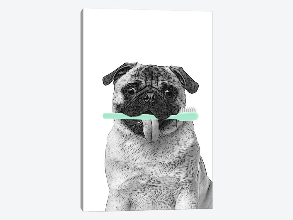 Pug With Toothbrush by Printable Lisa's Pets 1-piece Canvas Art Print