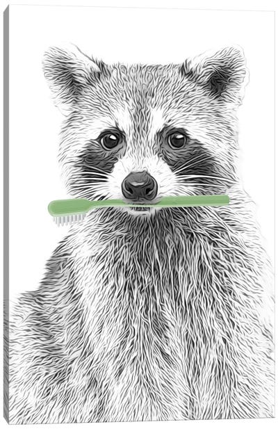 Raccoon With Green Toothbrush Canvas Art Print - Printable Lisa's Pets